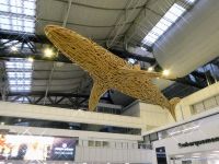 Flug in das Jahr 2025