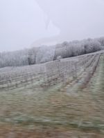 Elsässische Weinstraße