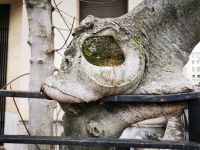 01.01.2025 Spaziergang im Marais 