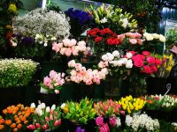 28.12.2024 Entdeckerspaziergang, Blumenmarkt 