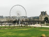 29.12.2024 Les Tuileries