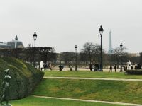 29.12.2024 Les Tuileries 