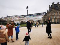 29.12.2024 Les Tuileries