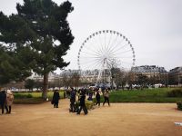 29.12.2024 Les Tuileries