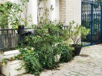 31.12.2024 Entdeckerspaziergang Montmartre 