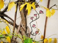 31.12.2024 Entdeckerspaziergang Montmartre 