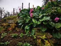 31.12.2024 Entdeckerspaziergang Montmartre 