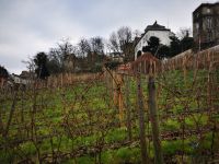 31.12.2024 Entdeckerspaziergang Montmartre 