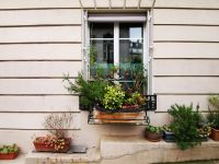 31.12.2024 Entdeckerspaziergang Montmartre 