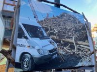 das Holz kommt aus dem See