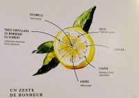 Bei Fragonard in Èze