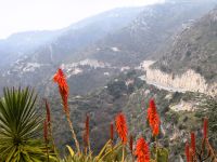 Küstenstraßenausblick vom 