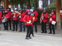 Der Karnevalsumzug beginnt