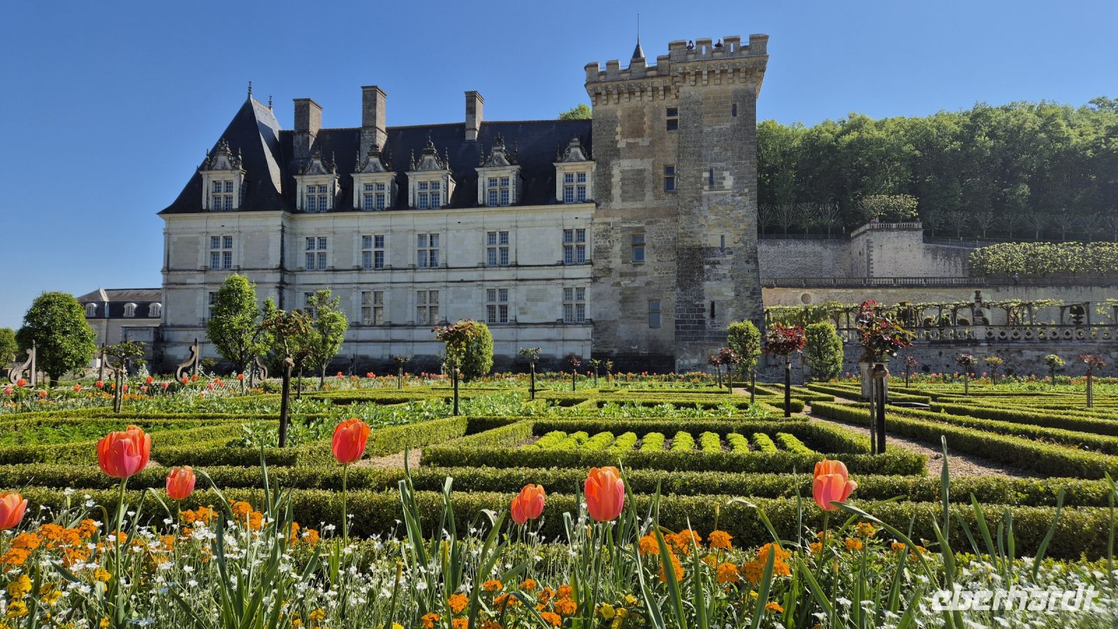 Tal der Loire: Château Villandry