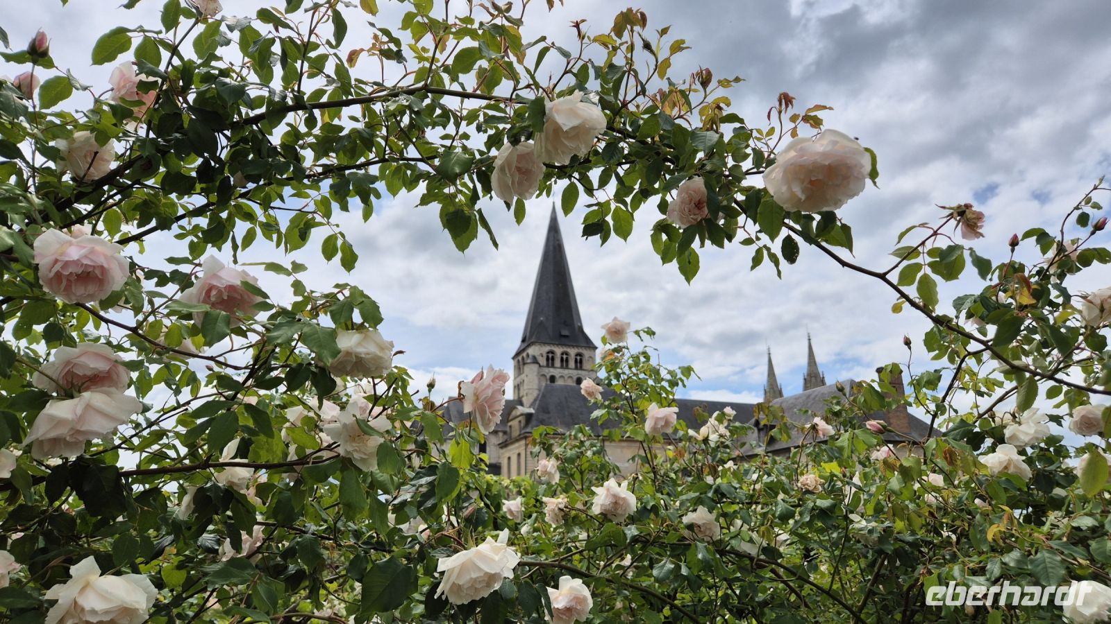 Abbaye Saint-Georges-de-Boscherville