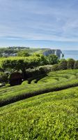 Jardin d'Étretat