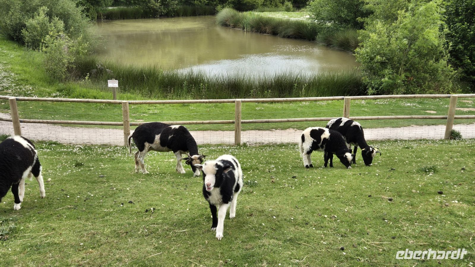 Caen: Colline des Oiseaux