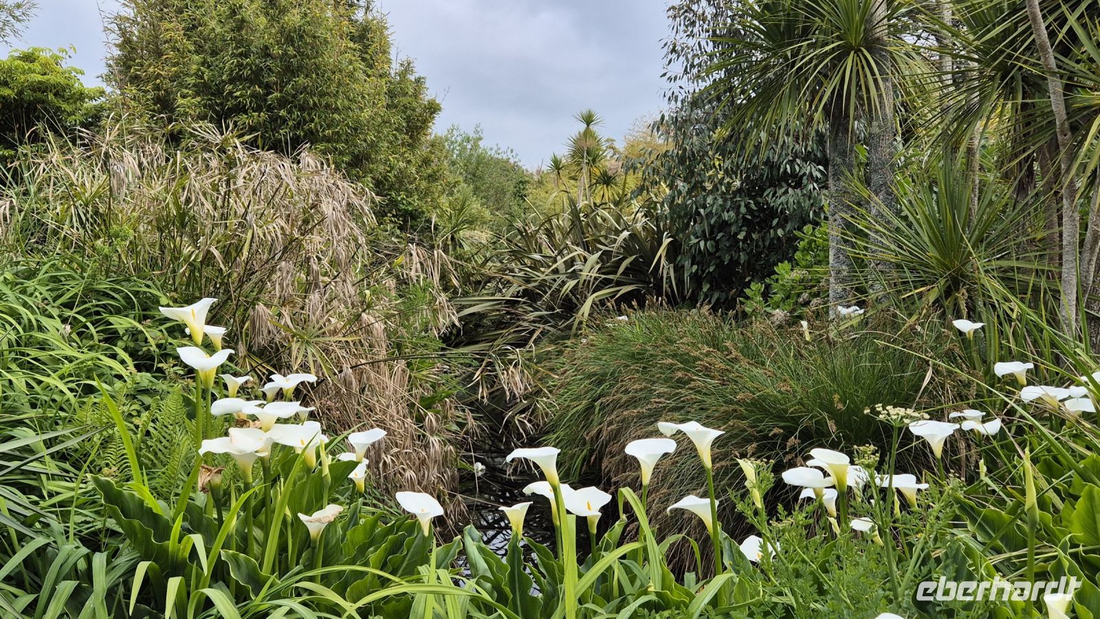 Jardin Botanique du Château de Vauville