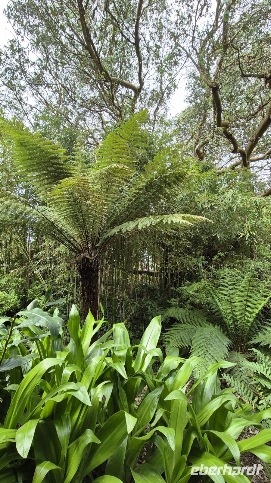 Jardin Botanique du Château de Vauville