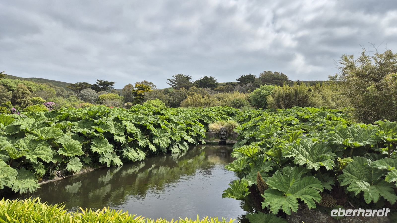 Jardin Botanique du Château de Vauville