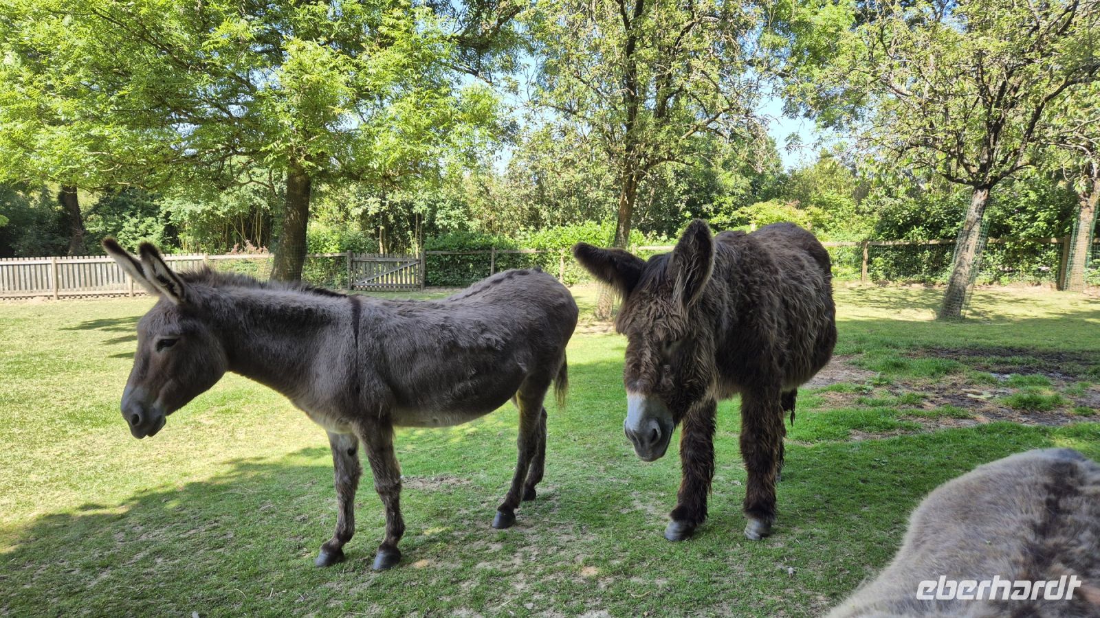 Jardin Zoologique de Champrépus
