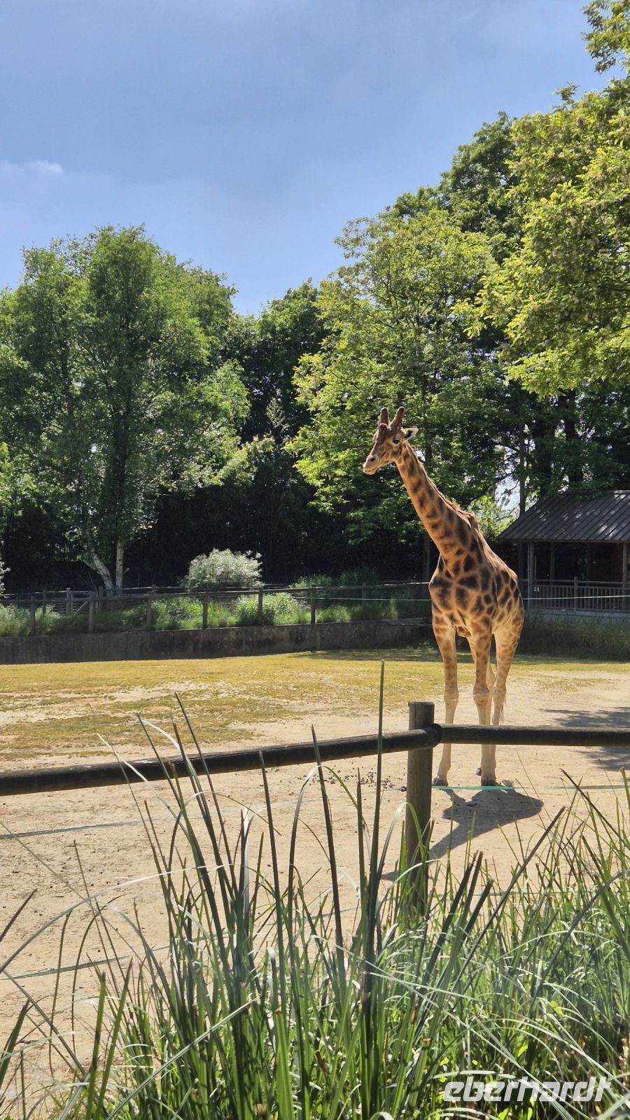 Jardin Zoologique de Champrépus