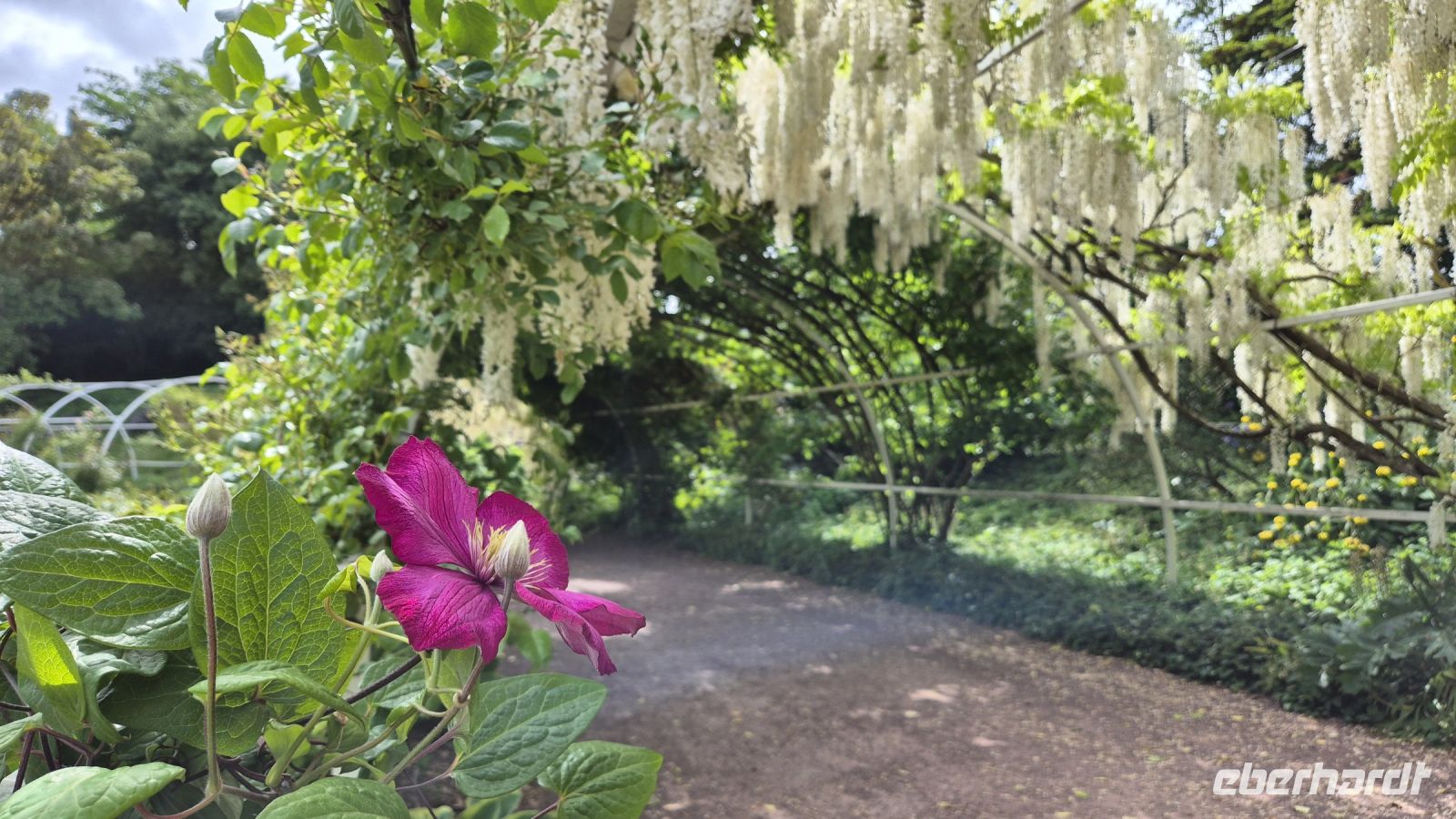 Caen: Colline des Oiseaux