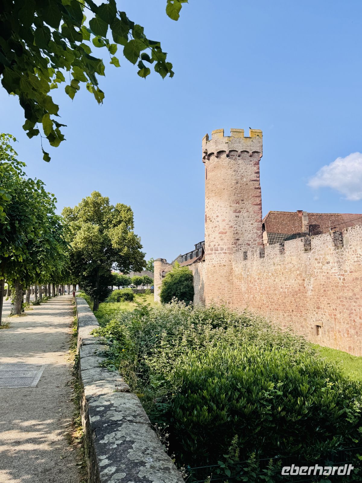 Tag 3 - Stadtmauer, Obernai 