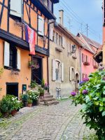 Tag 3 - Eguisheim 