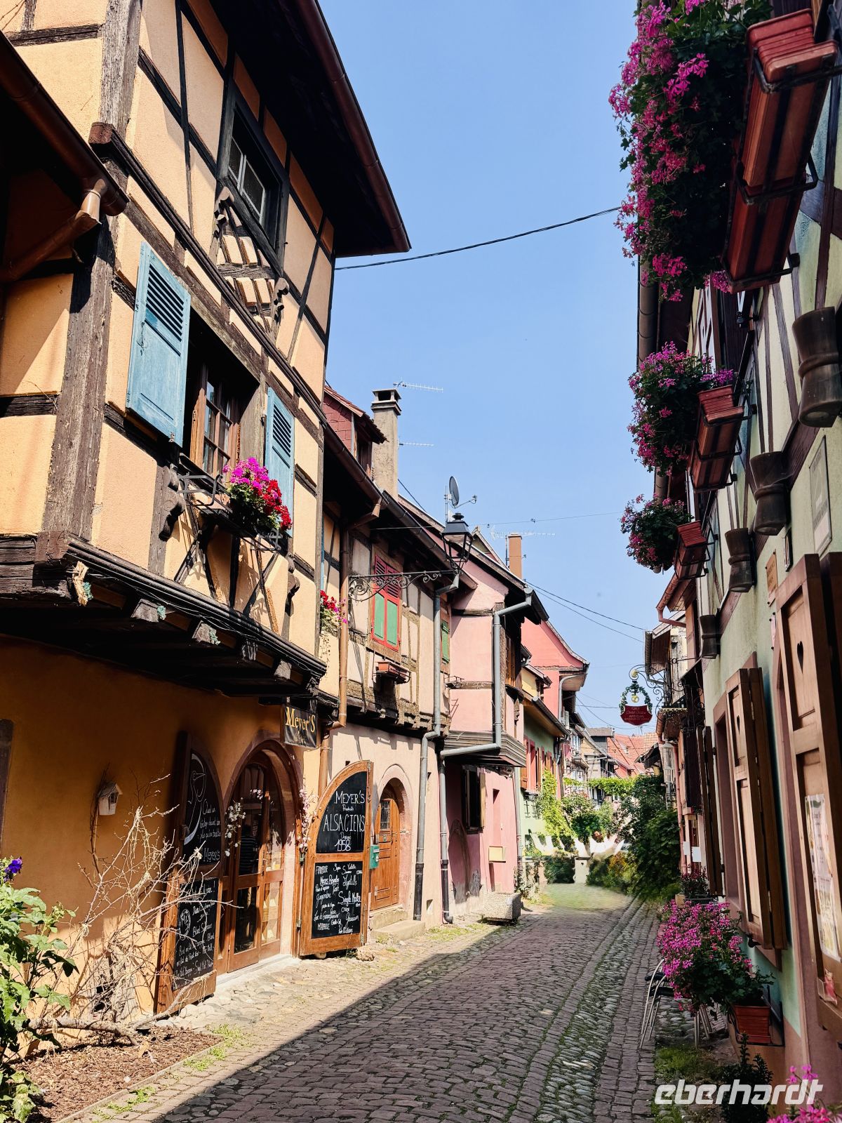 Tag 3 - Eguisheim
