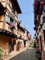 Tag 3 - Eguisheim