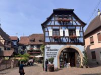 Tag 3 - Eguisheim 
