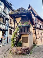 Tag 3 - Eguisheim 