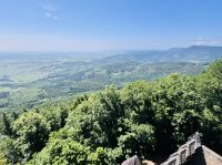 Tag 5 - Ausblick von der Hohkönigsburg 