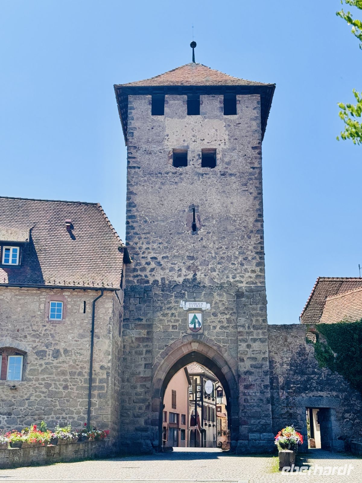 Tag 5 - Dambach-la-Ville