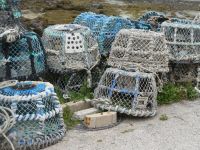 Hummerkäfige auf Chausey