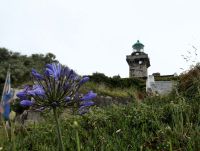 Leuchtturm von Chausey