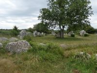 Steine von Carnac 