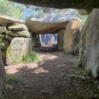 017 Wald bei Kezerho