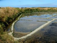 warum immer viereckig? Becken zur Salzgewinnung