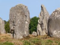 Steine von Kermario (Carnac)