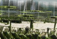 Landschaft bei Ebbe in Riec-sur-Bélon