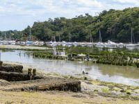 Austernbänke bei Ebbe in Riec-sur-Bélon 