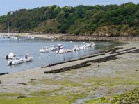 Austernbänke von Riec-sur-Bélon