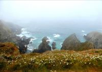 Felsen im Nebel am Pointe du Van 