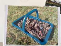 Château Mayne le Merci