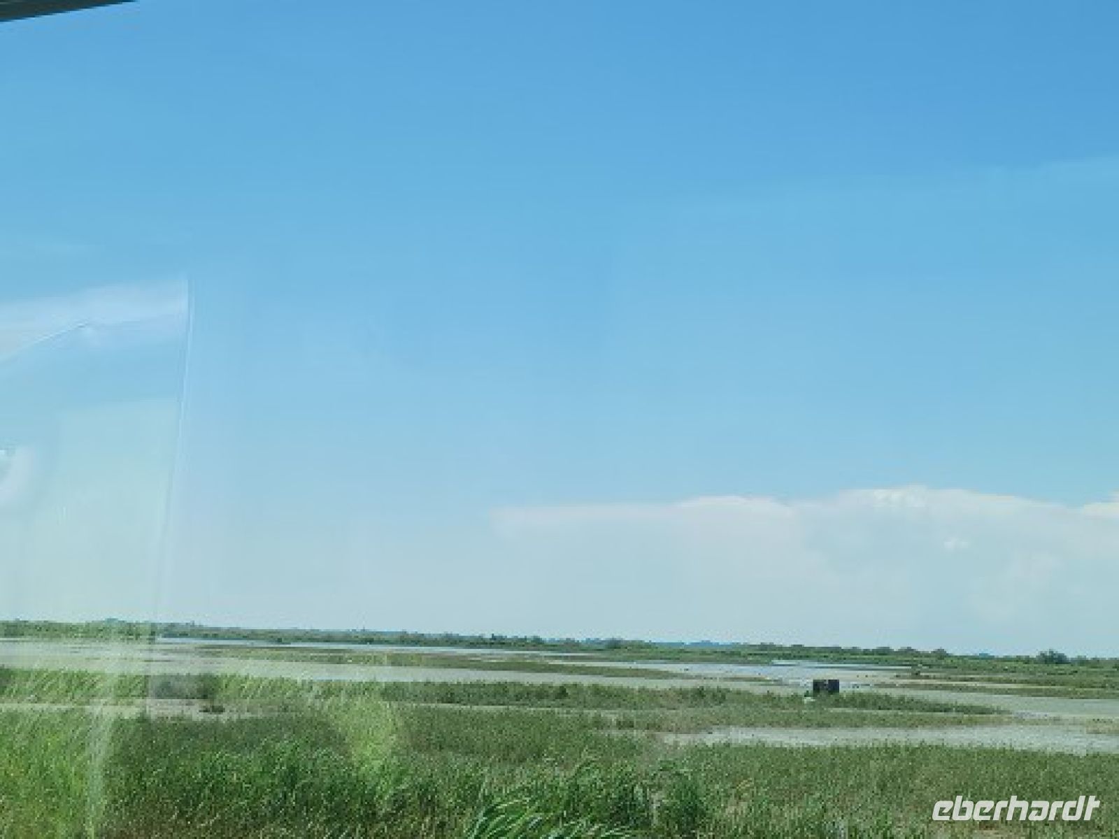 Camargue - Reisfelder