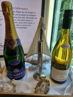 AROSA -Stella - Schiffsbegehung am Morgen