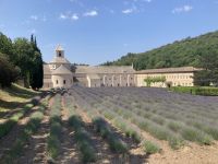 Provence intensive vom 21.-28.6.25: Das Kloster Senanque