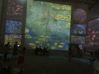 Provence intensive vom 21.-28.6.25: Lichter-Show in den Carriere de Lumiere in Le Baux